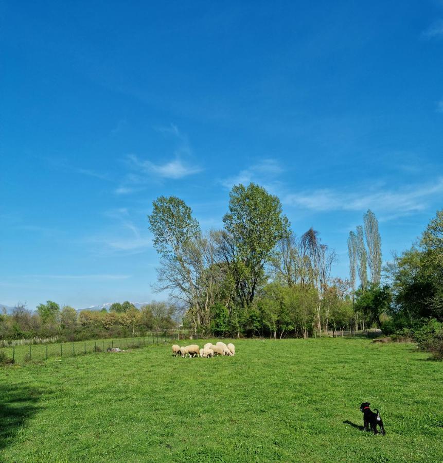 Wolf & Sheep Nature & Adventure Podgorica Kültér fotó