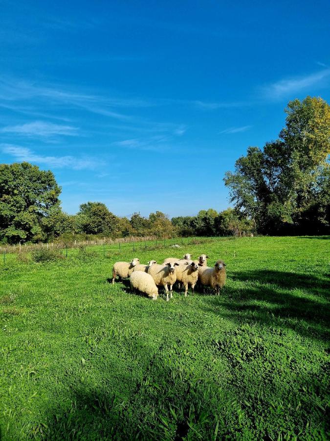 Wolf & Sheep Nature & Adventure Podgorica Kültér fotó